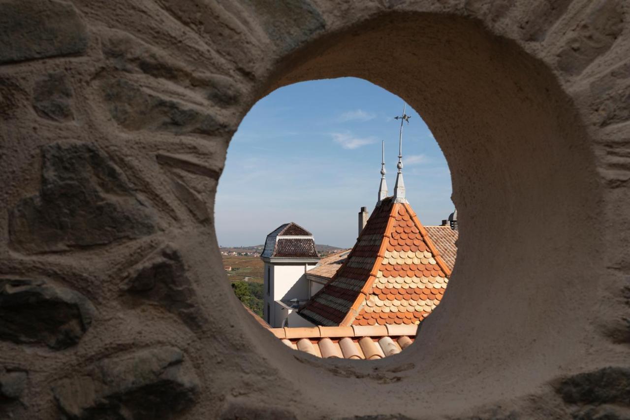 Chateau Du Souzy Quincié-en-Beaujolais Eksteriør billede